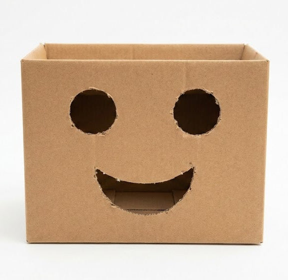 10 Consejos para Empacar Correctamente tu Mudanza