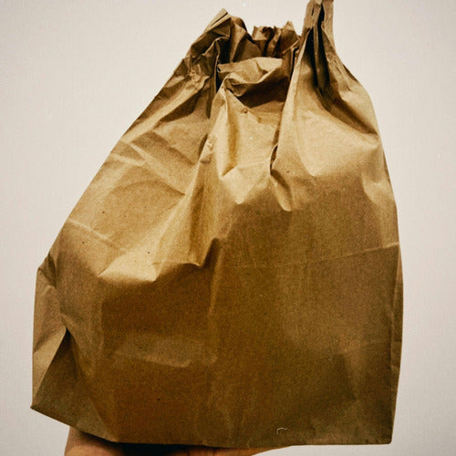 Saco Kraft 8kg 100u.